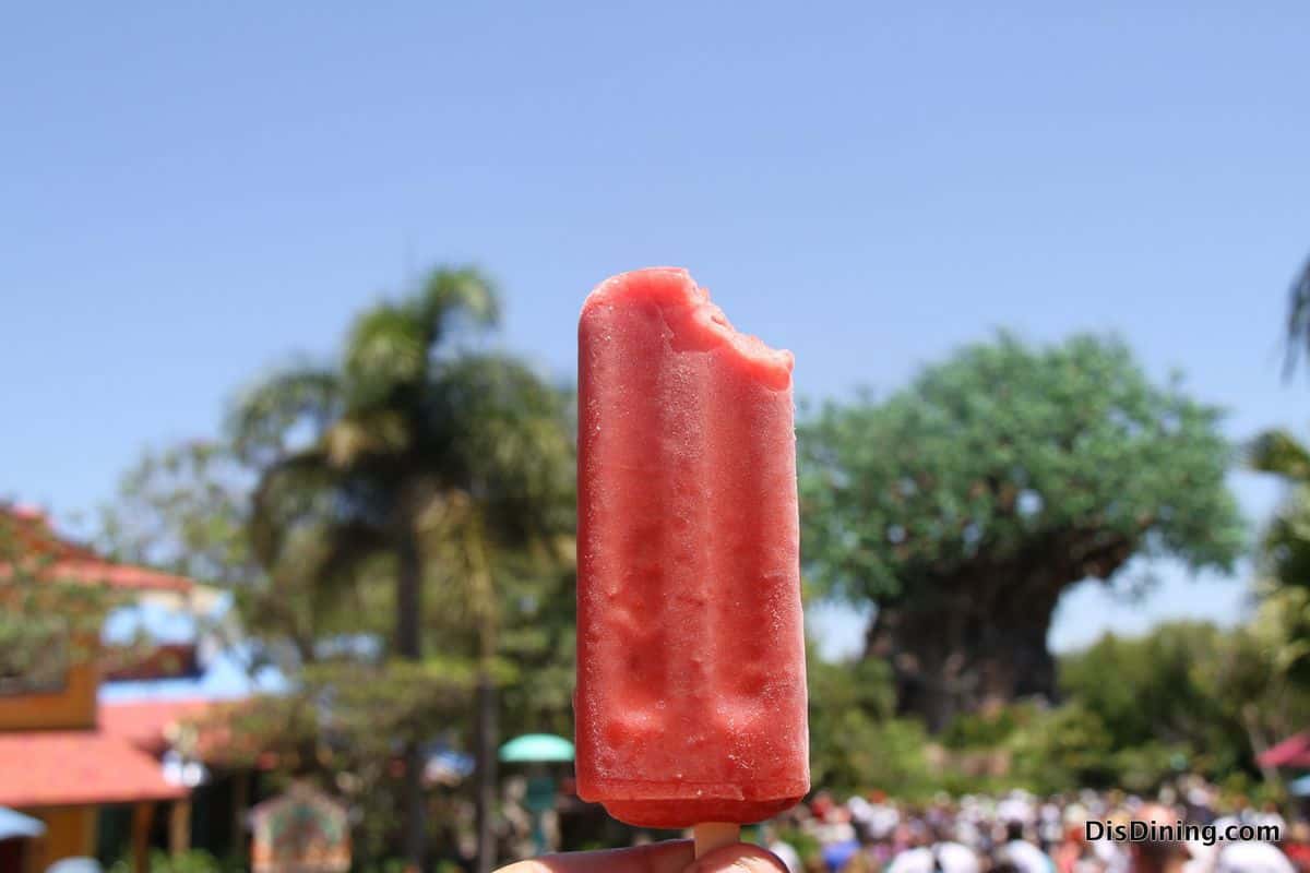 A half-eaten red popsicle held up beneath Animal Kingdom’s lush trees and blue sky—a sweet treat for your Disney adventure.