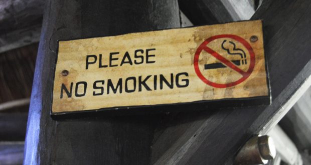 Please No Smoking" wooden sign with a crossed-out cigarette icon mounted on a dark beam in the park’s themed area.