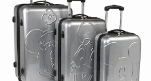 Luggage