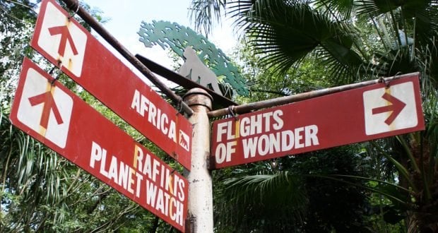 Red signs at Disney’s Animal Kingdom guide guests to Africa, Rafiki’s Planet Watch, and Flights of Wonder through lush greenery.