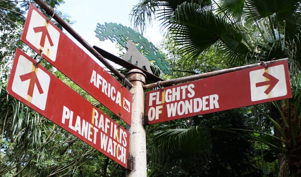 Red signs at Disney’s Animal Kingdom guide guests to Africa, Rafiki’s Planet Watch, and Flights of Wonder through lush greenery.