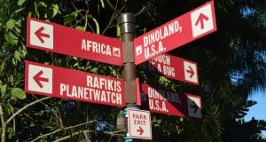 Red signs at Disney's Animal Kingdom direct guests to Africa, Rafiki’s Planet Watch, and Dinoland U.S.A. for seamless park fun.