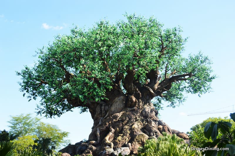 The Tree of Life at Disney’s Animal Kingdom, its trunk decorated with intricate animal carvings, towers amid lush greenery.