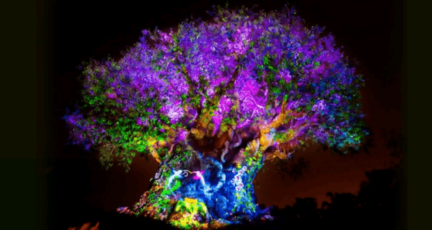 tree-of-life-awakenings