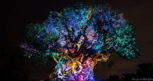 The Tree of Life at Animal Kingdom glows with dazzling lights, creating an unforgettable nighttime show at Walt Disney World.
