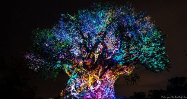 The Tree of Life at Animal Kingdom glows with dazzling lights, creating an unforgettable nighttime show at Walt Disney World.
