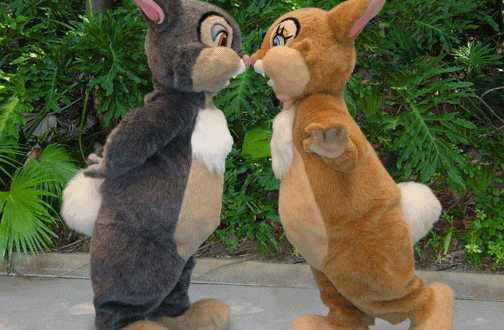 Thumper and another bunny character meet on a tree-lined path, celebrating Bambi’s anniversary at Walt Disney World.