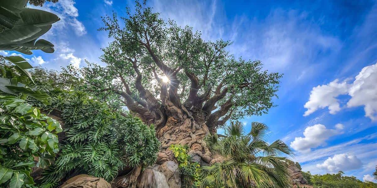 The Tree of Life at Disney’s Animal Kingdom, featuring intricate animal carvings, stands tall amid vibrant foliage and clear skies.