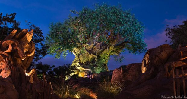 The Tree of Life glows at night in Animal Kingdom, surrounded by lush plants and rocks beneath a deep Disney-blue sky.