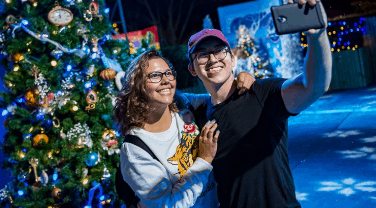 Guests snap a festive selfie by a sparkling Christmas tree along the magical Christmas Tree Trail at Walt Disney World.