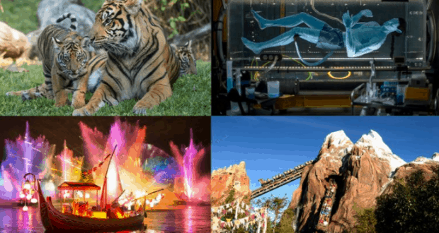 Tigers at Animal Kingdom’s Anniversary, an Avatar in Pandora, a Disney Parks Live water show, and Expedition Everest coaster.