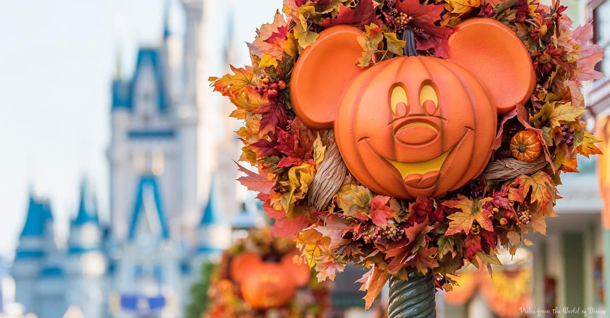 halloween-pumpkin-decor