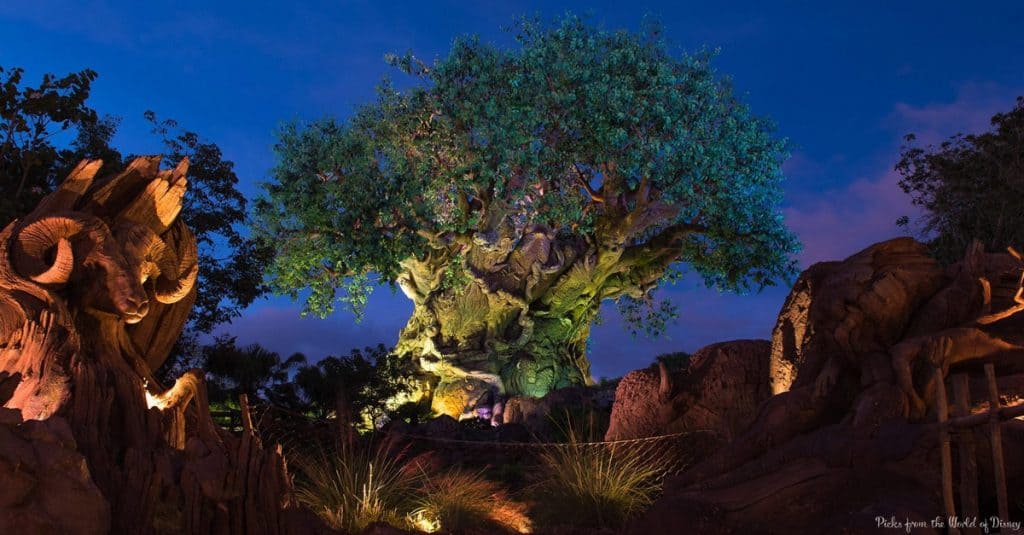 tree-life