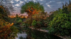 animal-kingdom-tree