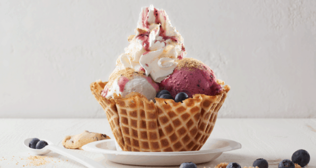 A magical Disney World sundae: scoops of ice cream, whipped cream, blueberries & cookie crumbles in a waffle bowl on white plate.