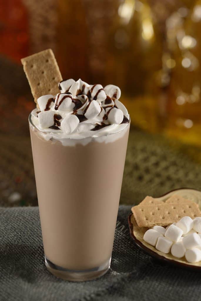 Chocolate milkshake at Disney Springs, crowned with whipped cream, marshmallows, chocolate drizzle, and a graham cracker.