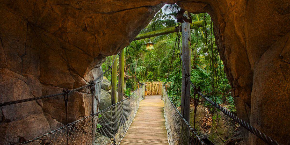 A wooden suspension bridge leads through a rocky archway into a lush, green jungle setting. The path is lined with ropes and surrounded by dense foliage. Sunlight filters through the canopy, illuminating the scene.