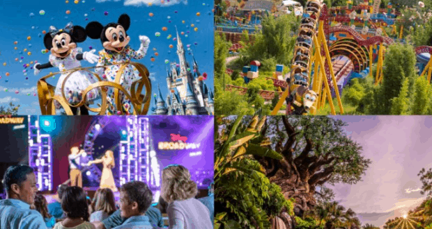 Highlights from Walt Disney World: Mickey and Minnie parade, thrilling coaster, live show, Tree of Life aglow—see it all with 4-Park Magic Tickets.
