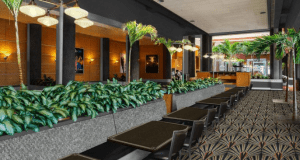 Chic dining area with sleek black tables, lush plants, and sunlit windows, just like ABC Commissary at Disney's Hollywood Studios.