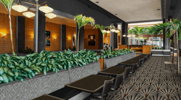 Chic dining area with sleek black tables, lush plants, and sunlit windows, just like ABC Commissary at Disney's Hollywood Studios.