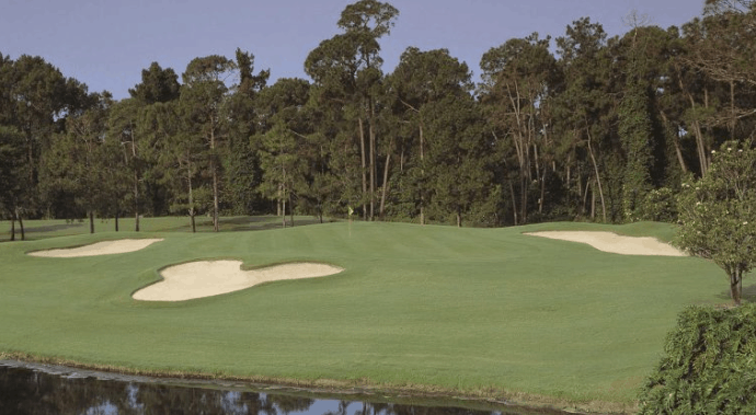 Lush Disney golf course with sand bunkers, water hazard, and trees—ideal green for tournaments just steps from park magic.