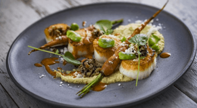 Seared scallops with baby carrots, sauce, and vibrant greens on a gray plate—Disney World-inspired cuisine for food lovers.
