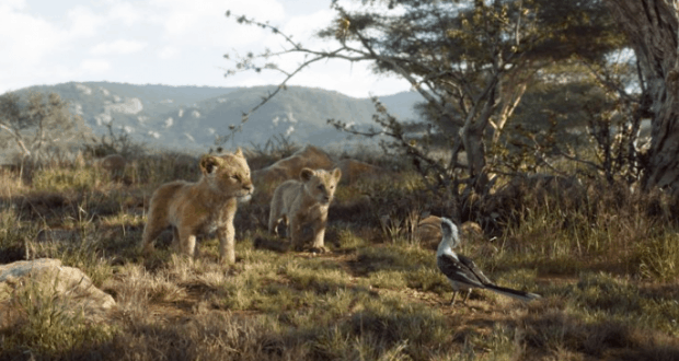 Two lion cubs on the savanna face a bird, just like a scene from The Lion King parade at Magic Kingdom, with trees and hills behind.