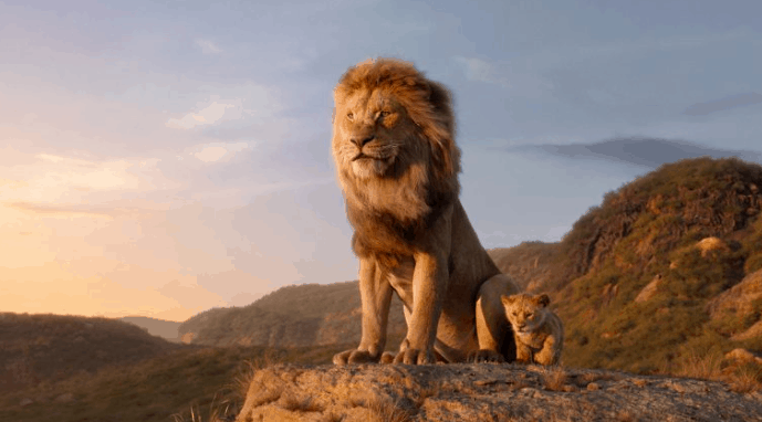 Simba and his cub stand on Pride Rock at sunset, overlooking the savanna, celebrating Disney’s Protect the Pride at Walt Disney World.