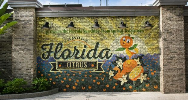 Famous Florida Citrus" mural with oranges, blossoms, and Orange Bird on brick—Disney Springs-style magic at Walt Disney World.