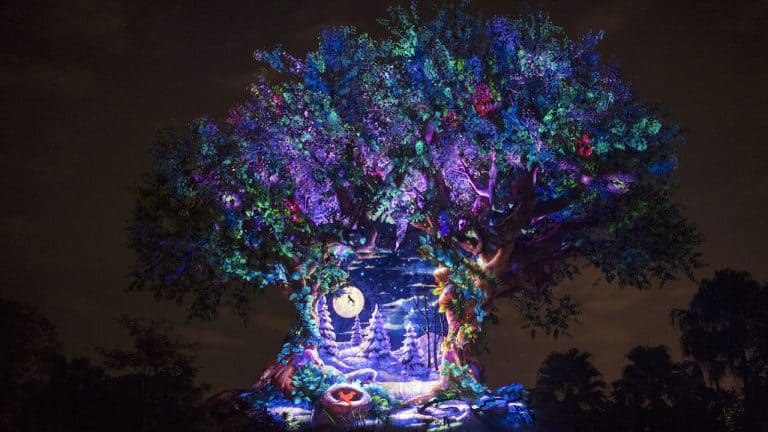 The Tree of Life at Animal Kingdom dazzles after dark with festive lights, holiday décor, and magical nighttime projections.
