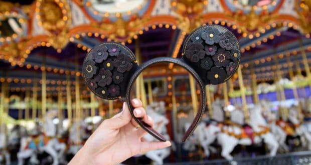designer-ears