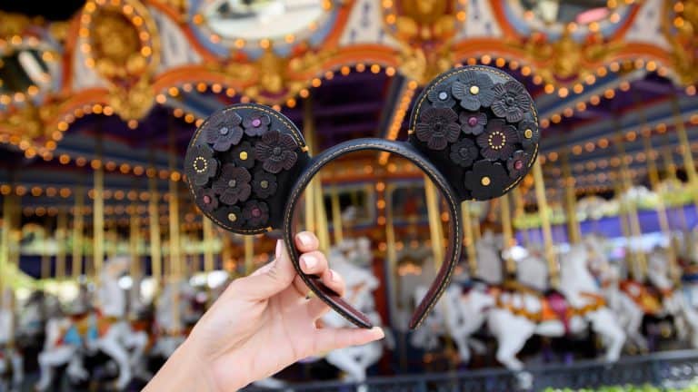 designer-ears