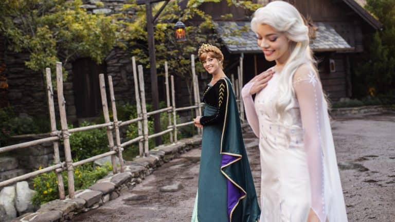 Anna and Elsa from Frozen 2 stroll by a rustic fence and stone building, bringing Disney World enchantment to the outdoors.