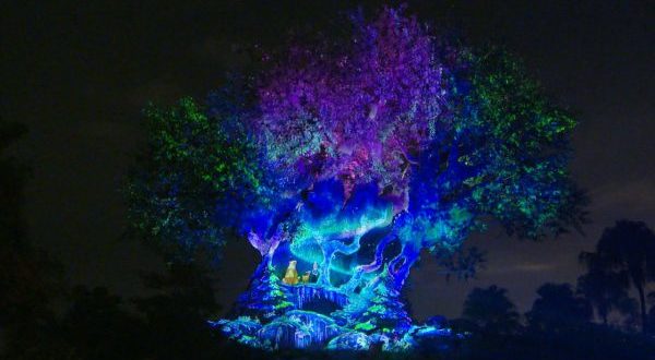 The Tree of Life Awakens, glowing with brilliant blue, purple, and green lights for the Holidays at Disney’s Animal Kingdom.