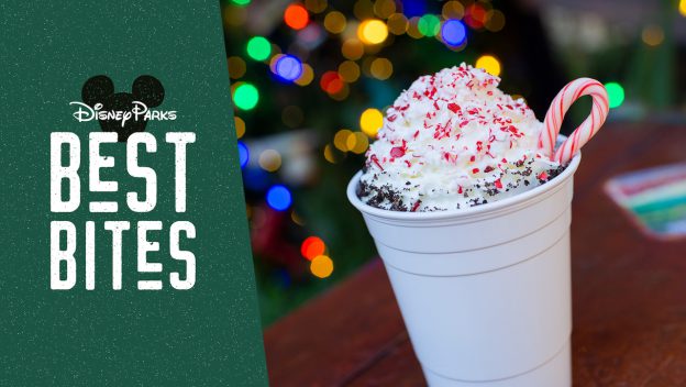 Celebrate the season with a Disney Parks treat—a whipped cream-topped cup with sprinkles and candy cane, just for Best Bites!.