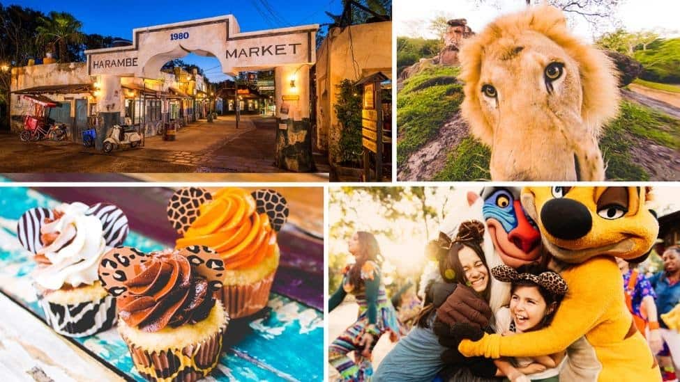 Collage featuring Harambe Market, a majestic lion, themed cupcakes, and guests hugging Lion King characters at Disney Parks.