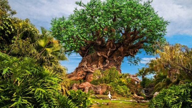 animal-kingdom-disney-tree-of-life