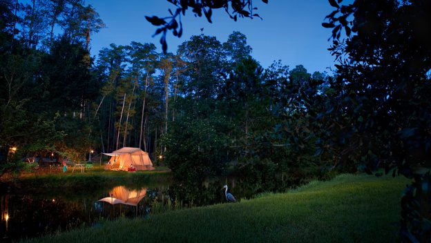 A glowing tent by a wooded lake at dusk, with camp chairs and a bird—evoking evenings at Disney’s Fort Wilderness Resort.