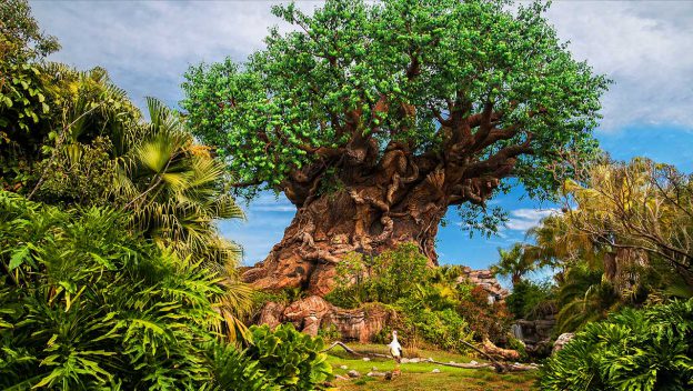The iconic Tree of Life with carved animals rises above lush foliage—an exclusive sight on Disney’s Animal Kingdom’s special tour.