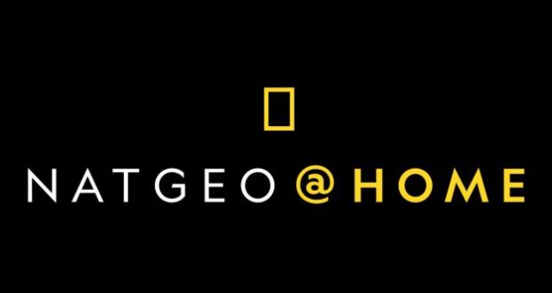 NatGeo@Home’s logo pops with a yellow rectangle and bright text on black—inviting families to adventure, just like at a fun park.