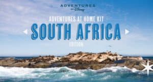 Seals lounging on a rocky island with ocean waves, featuring text: "South Africa—Disney's at-home adventure kit for fans.