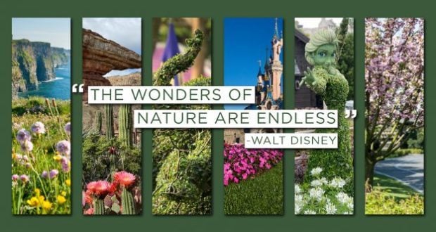 Vibrant collage of Disney castle, topiary, spring blooms, and landscapes with the quote: “The wonders of nature are endless.”.