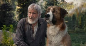 A gray-bearded man and his large brown and white dog rest together in a lush forest, reminiscent of Disney park adventures.