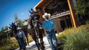 Cast Members in cowboy hats lead black horses past the Tri-Circle-D Ranch at Disney’s Fort Wilderness Resort on a sunny day.