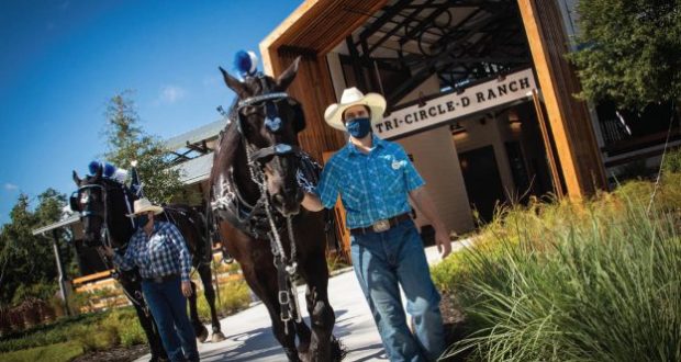 Cast Members in cowboy hats lead black horses past the Tri-Circle-D Ranch at Disney’s Fort Wilderness Resort on a sunny day.