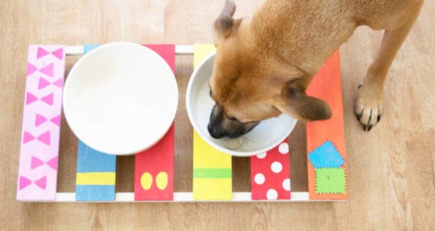 A brown dog enjoys a drink from a white bowl on a vibrant Mickey & Friends bowl stand, perfect for Disney fans at home.
