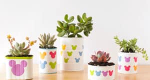 Five playful succulents in white Mickey Mouse planters, adorned with Disney-inspired colors, bring magic to a wooden display.