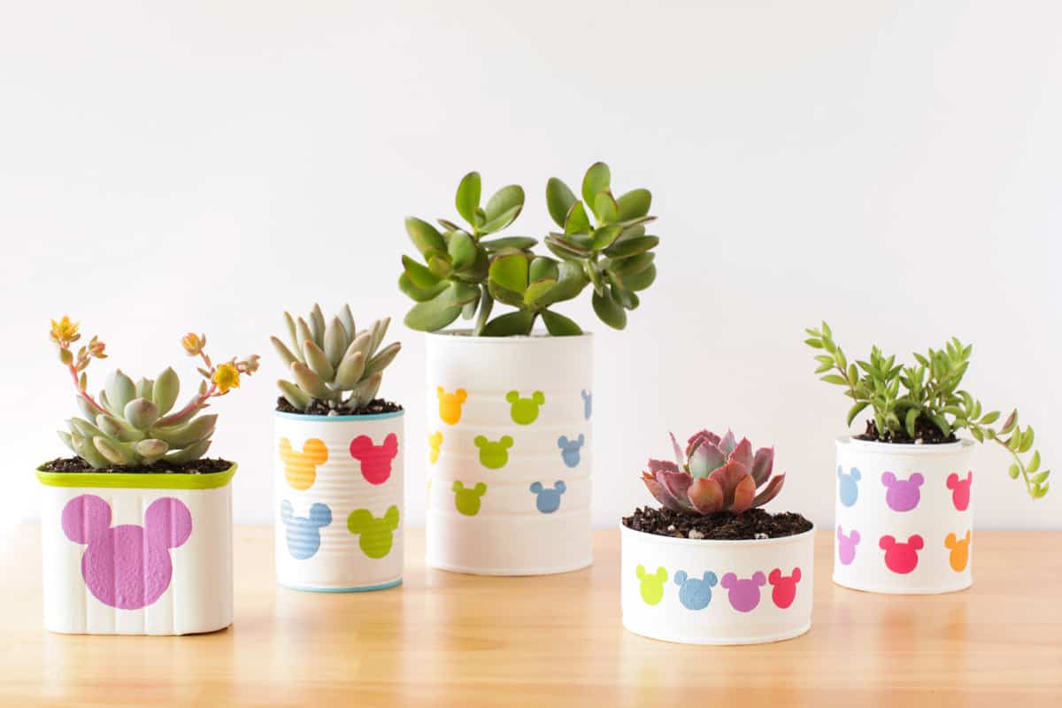 Five playful succulents in white Mickey Mouse planters, adorned with Disney-inspired colors, bring magic to a wooden display.