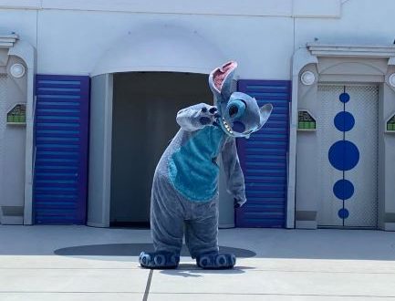 stitch