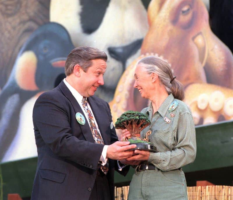 Judson Green, President of Walt Disney World, presents a tree-shaped award to a smiling woman before an animal mural.